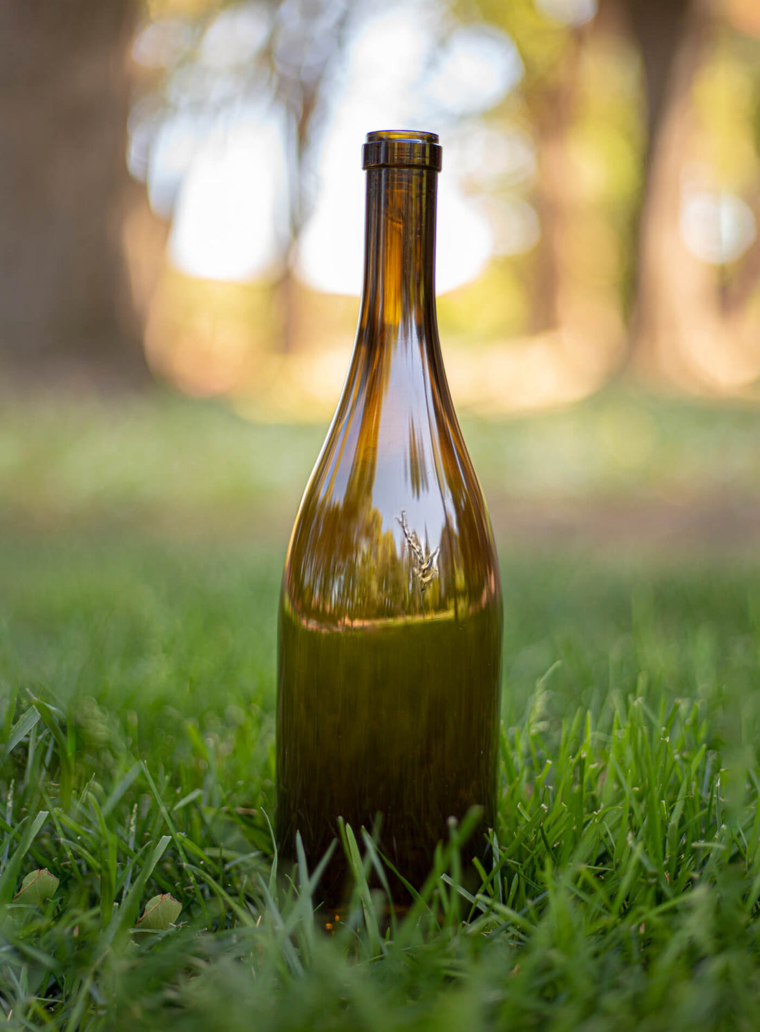 Wijntrends 2026: zo verandert online wijn kopen bij Koopwijn