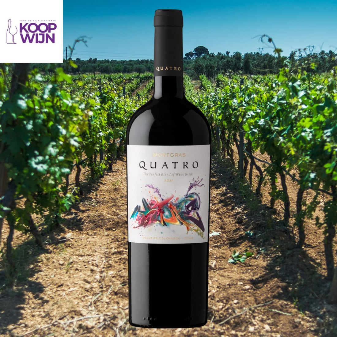 De Ultieme Chileense Blend die je Moet Proeven