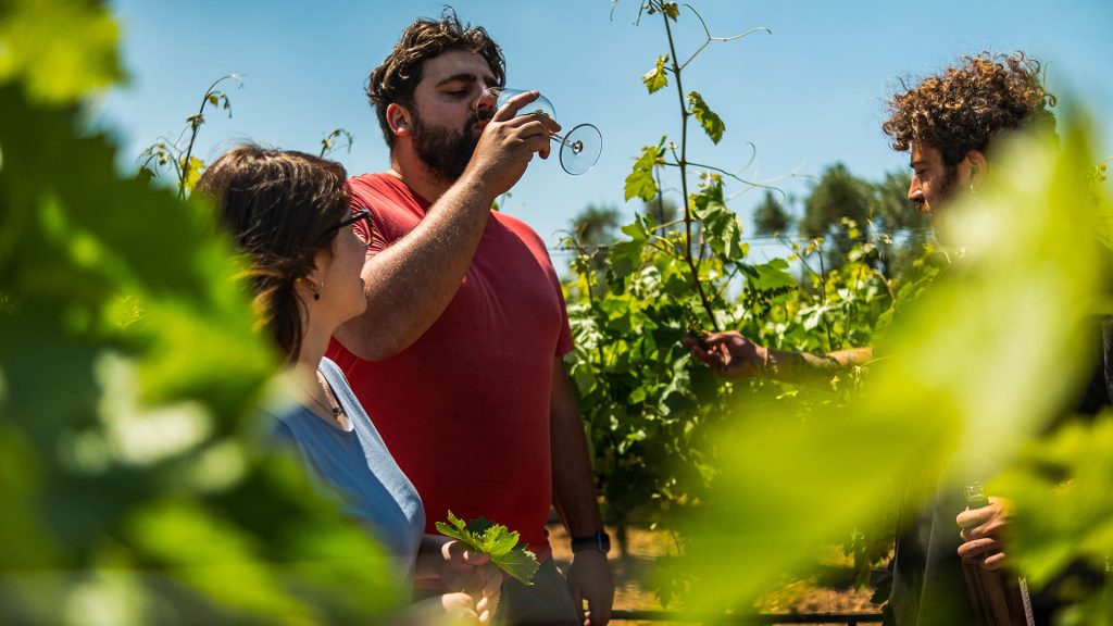 Video laden: Quinta_Vale-D'aldeia_Koopwijn_Video